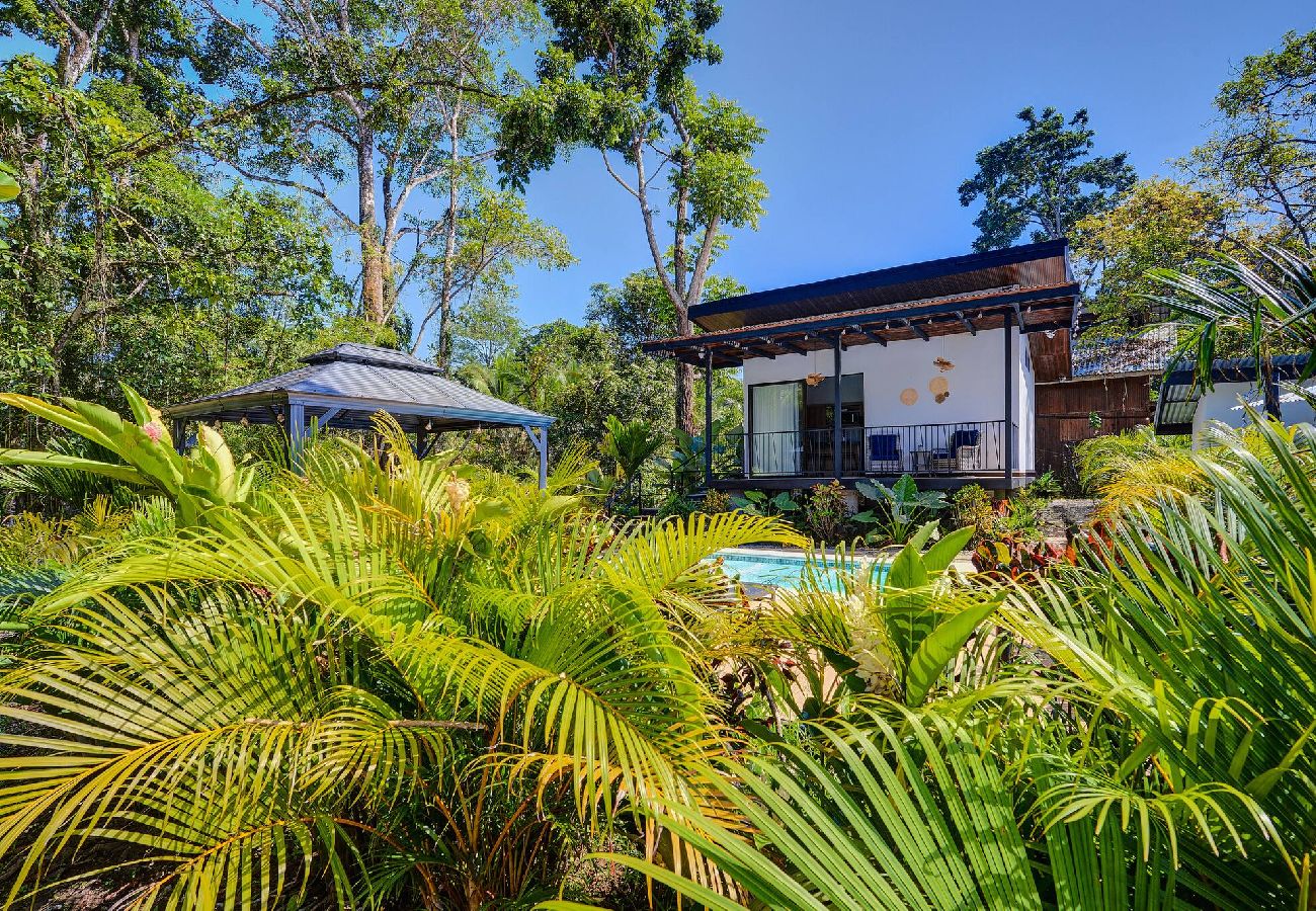 Departamento en Playa Negra - -