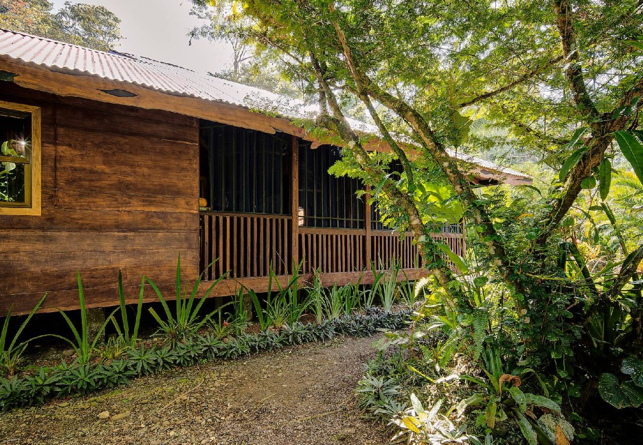 House in Puerto Viejo - Casa Franke · Pool & Jungle Charm 150m from Beach