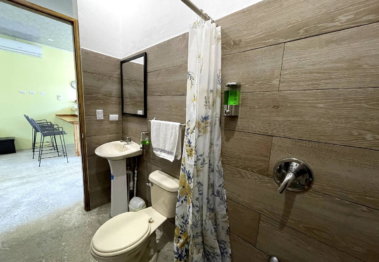 Apartment in Puerto Viejo - Apt Abeto 2 - 2BR / Wi-fi & AC - 2 mins from beach 