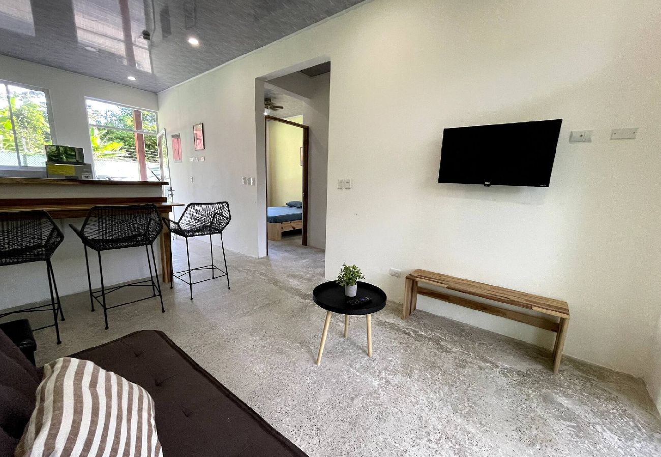 Apartment in Puerto Viejo - Apt Abeto 2 - 2BR / Wi-fi & AC - 2 mins from beach 