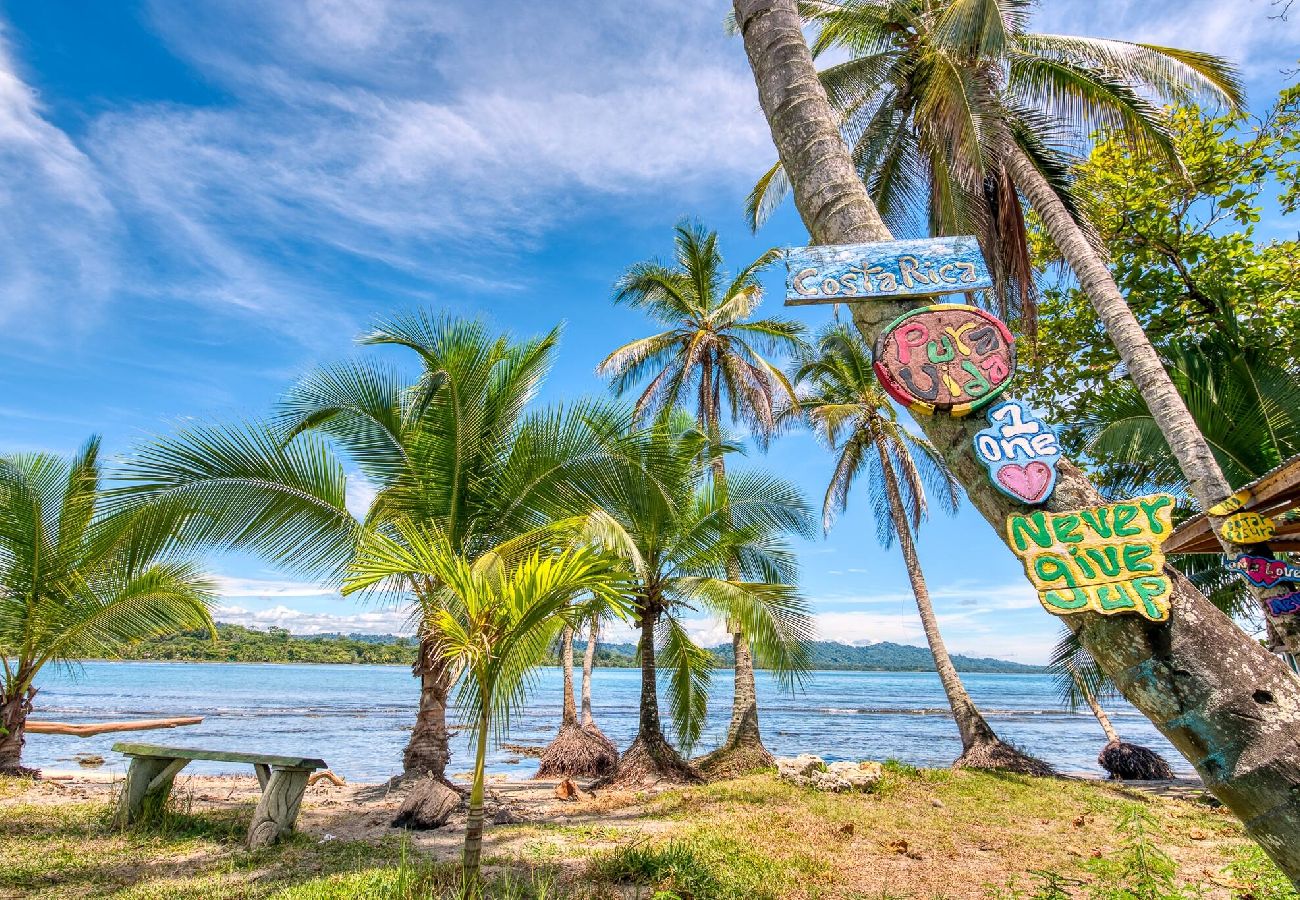 Apartment in Puerto Viejo - Apt Abeto 4 · Near the Beach + Starlink WiFi