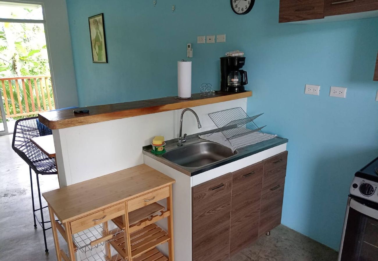 Apartment in Puerto Viejo - Apt Abeto 4 · Near the Beach + Starlink WiFi