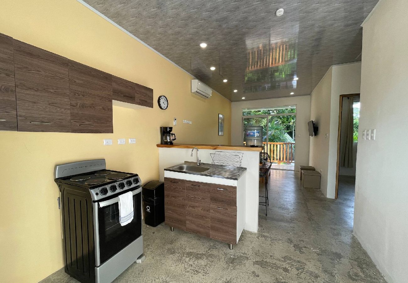 Apartment in Puerto Viejo - Apt Abeto 3 - Playa Negra w/2BR, AC & Pool 