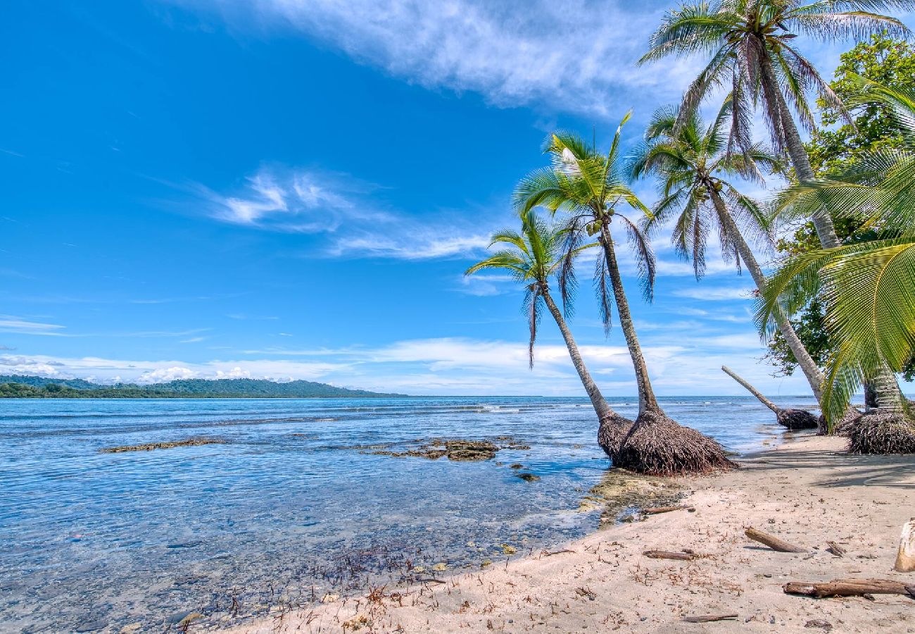Apartment in Puerto Viejo - Apt Abeto 1 · Near the Beach + Starlink WiFi