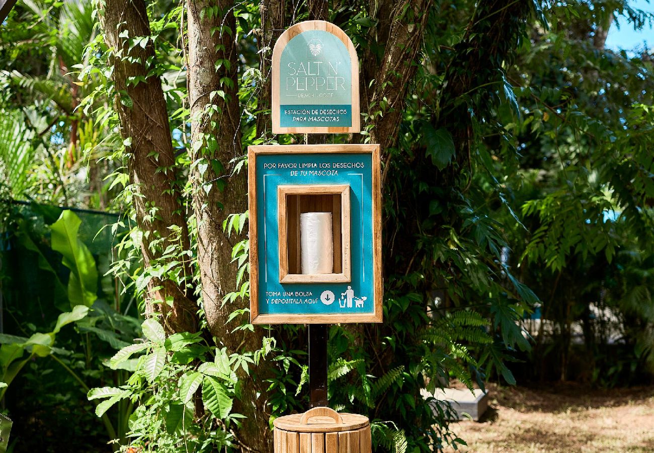 Villa in Puerto Viejo - Parsley Villa · Private Studio for Adults + Pool