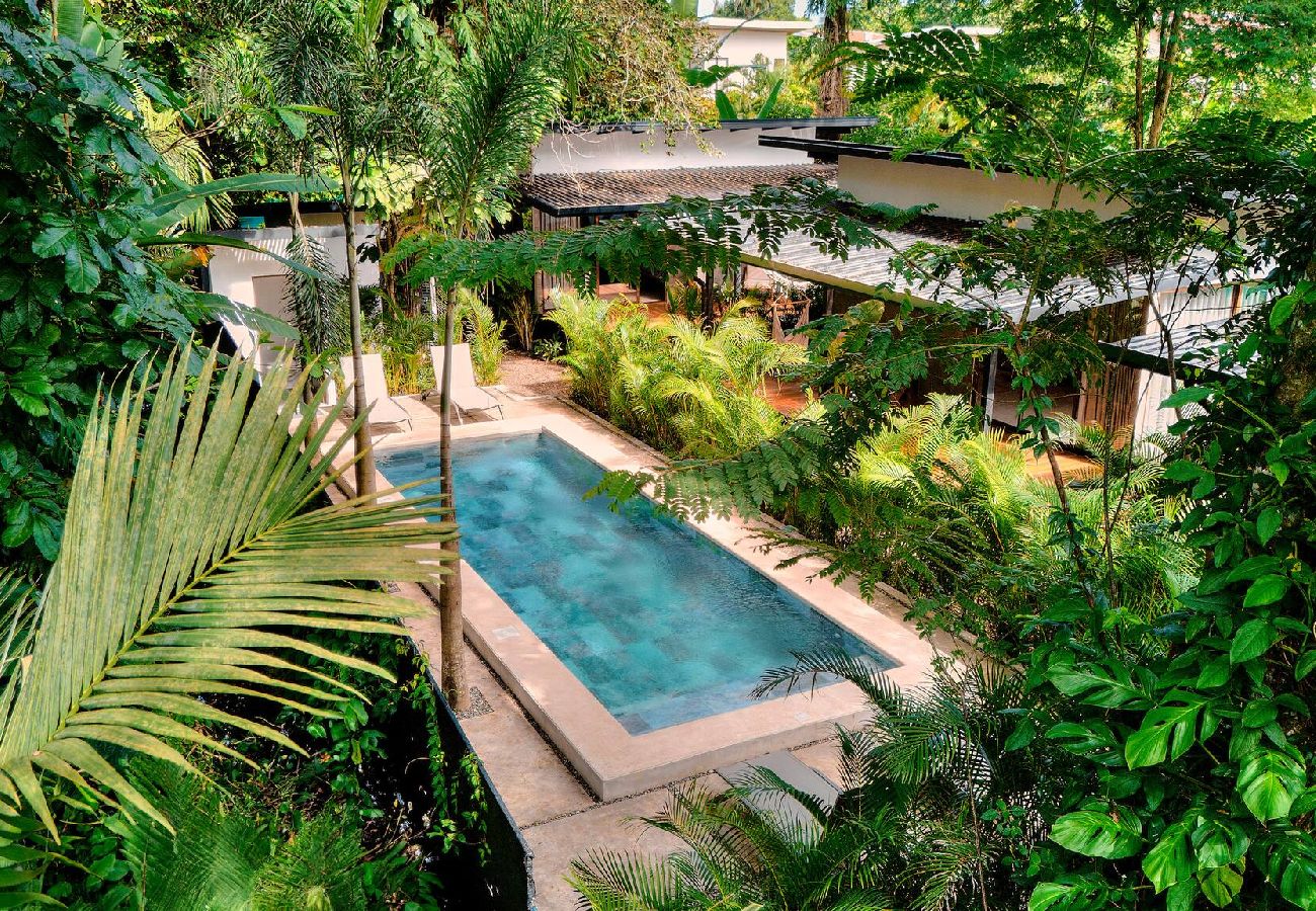 Villa in Puerto Viejo - Parsley Villa · Private Studio for Adults + Pool