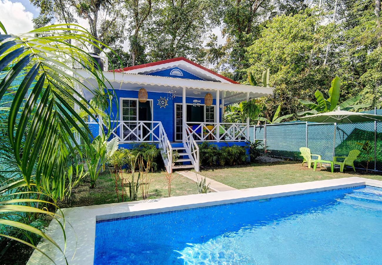 House in Puerto Viejo - Casa Caribe Azul · Pool & Caribbean Charm