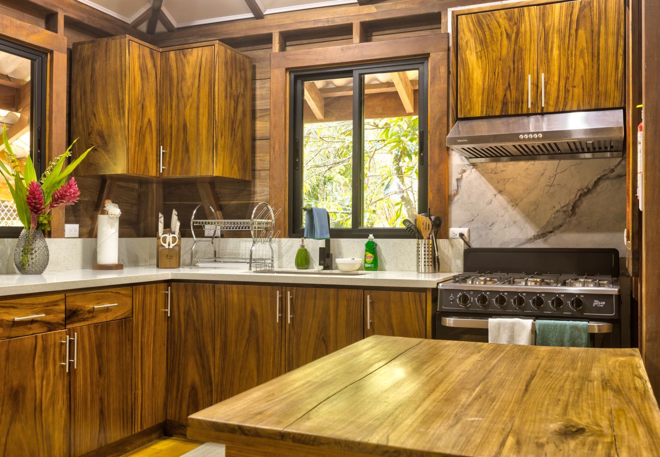 Villa in Punta Uva - Casa Carey | Villas Punta Uva