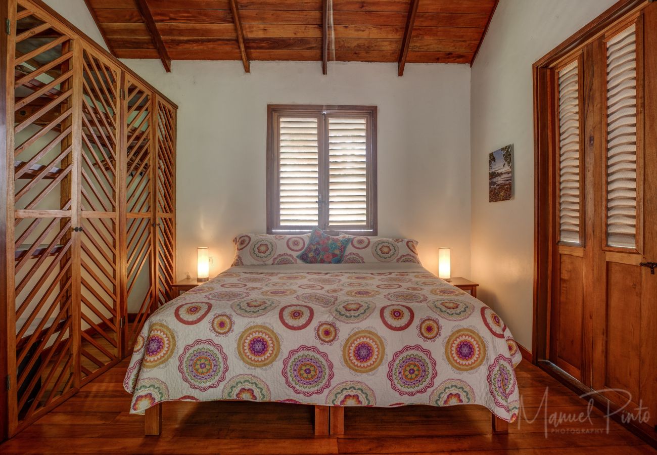 Villa in Punta Uva - Big Tree Wildlife Refuge • Private Oasis