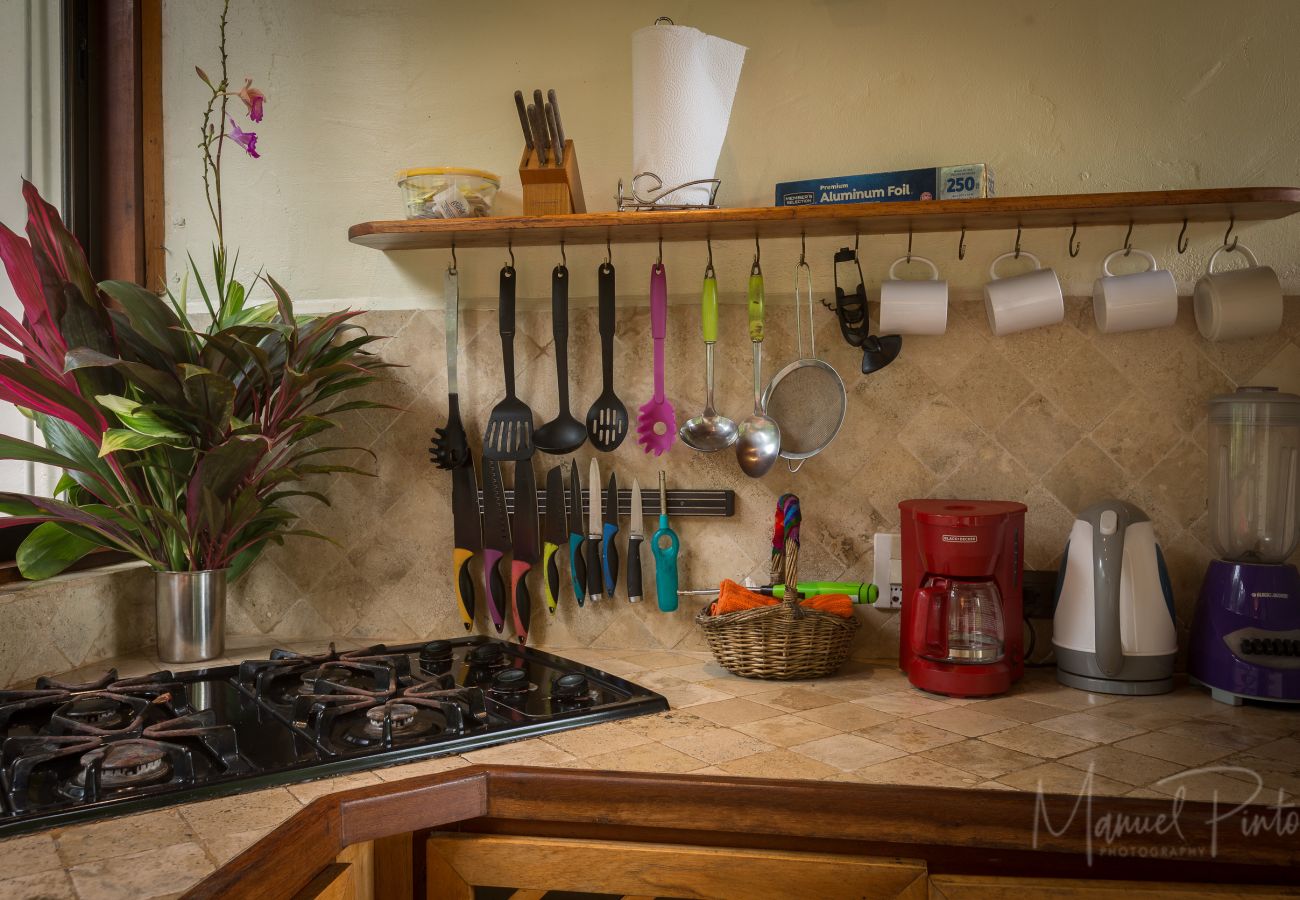 Villa in Punta Uva - Big Tree Wildlife Refuge • Private Oasis