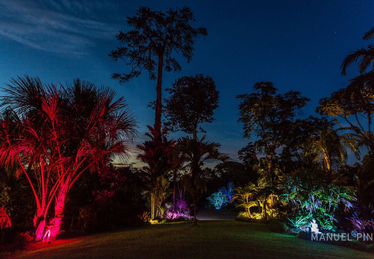 Villa in Punta Uva - Villa Macaw Pool House | Big Tree Refuge