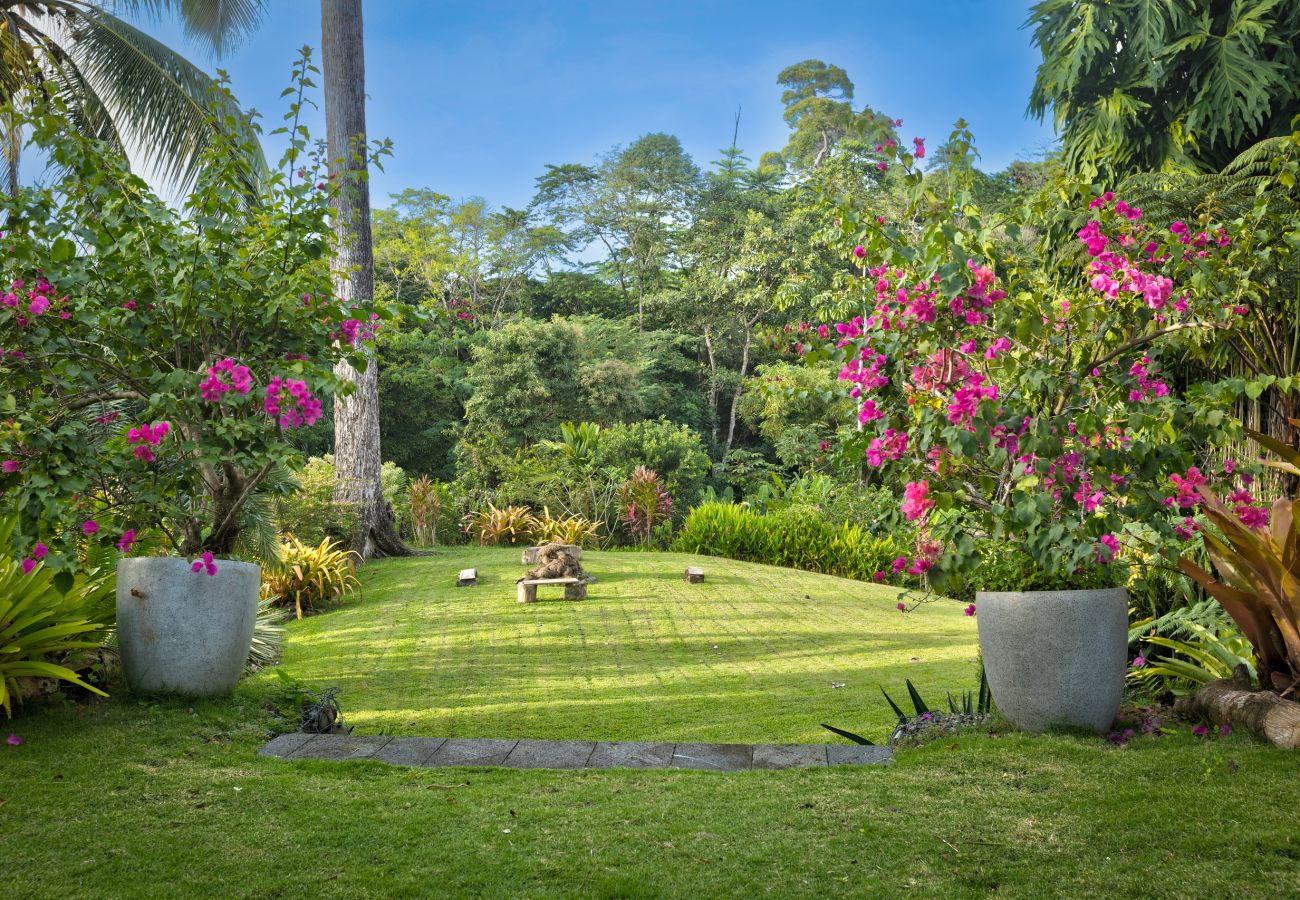 Villa in Punta Uva - Villa Macaw Pool House | Big Tree Refuge