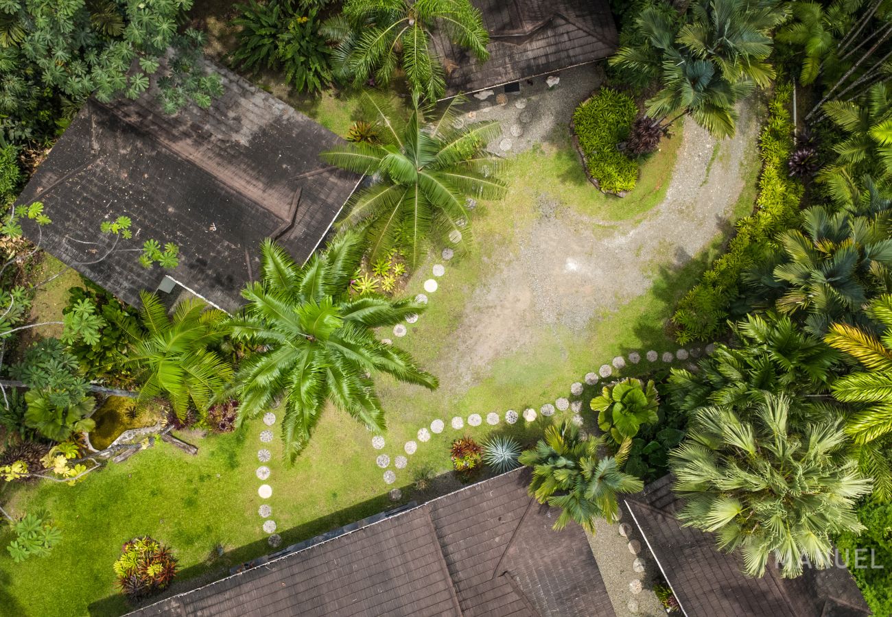 Villa in Punta Uva - Villa Macaw Pool House | Big Tree Refuge