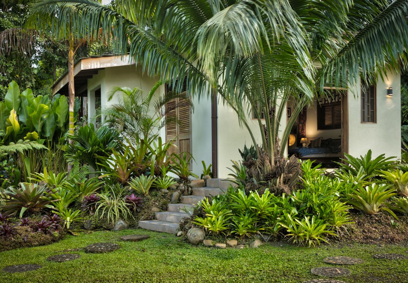 Villa in Punta Uva - Villa Macaw Pool House | Big Tree Refuge