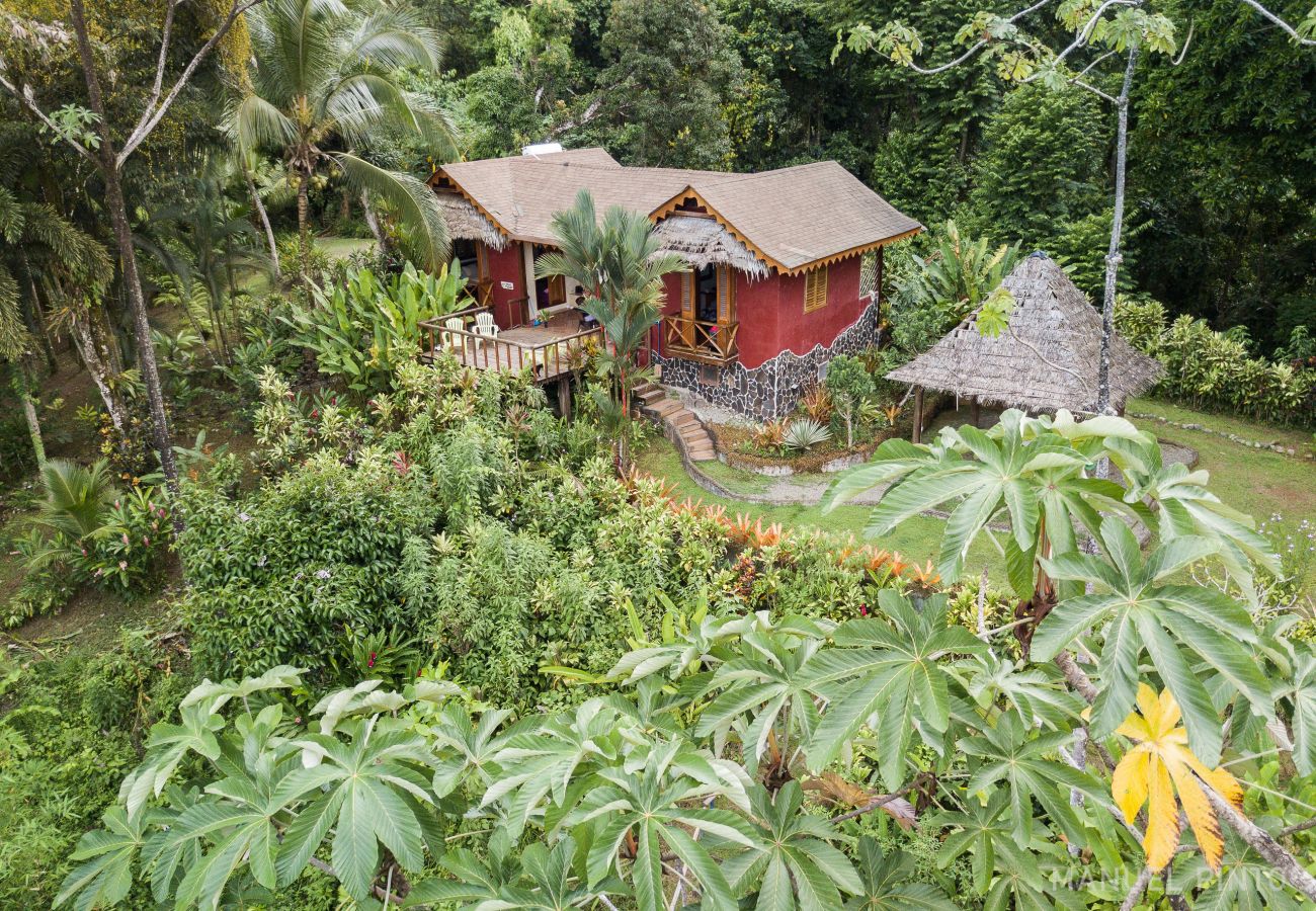 Villa in Punta Uva - Villa Toucan | Big Tree Refuge