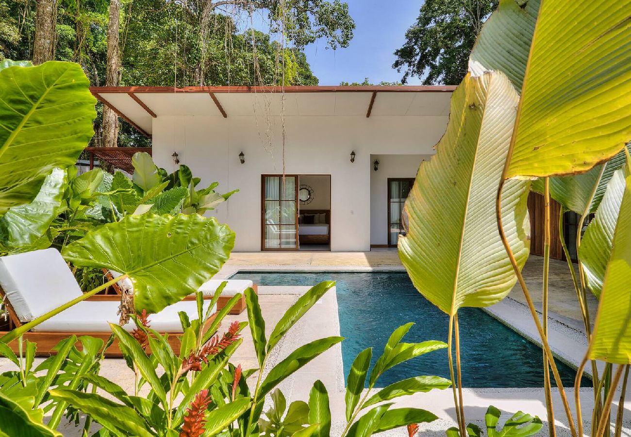 House in Puerto Viejo - UPA House | 3BR - A/C, Pool & Close to beaches 