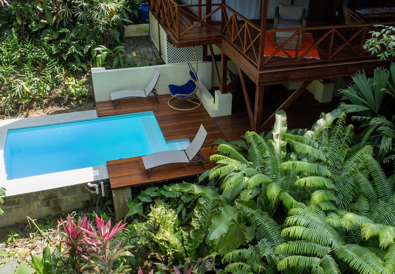 Villa in Cocles - Colibrí Secluded Villa w/pool in Cocles